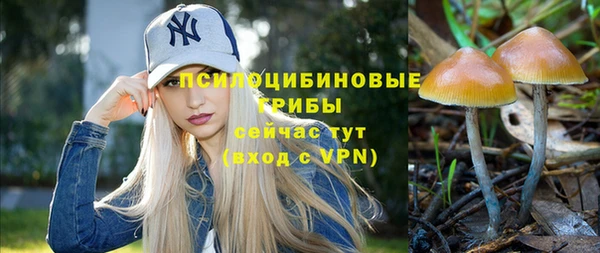 гидра Алзамай
