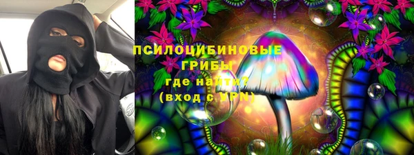 гидра Алзамай