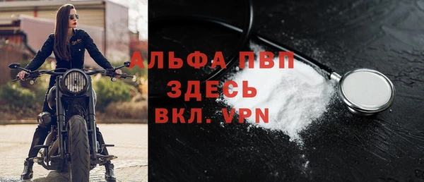 гидра Алзамай